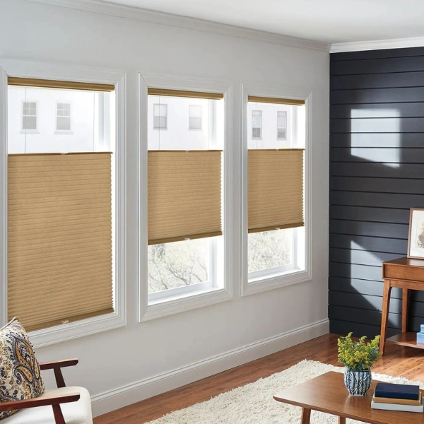 Honeycomb Shades1