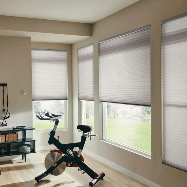 Honeycomb Shades4