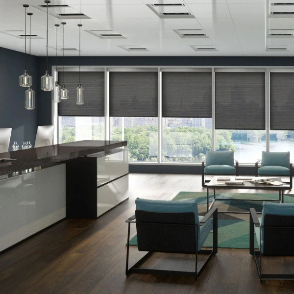 Roller Shades3