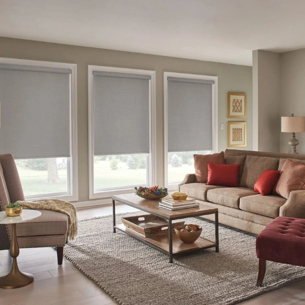 Roller Shades4