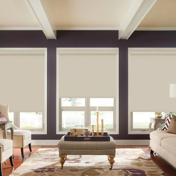 Roller Shades5