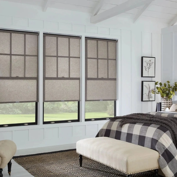 Roller Shades6