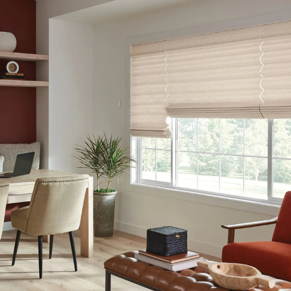 Roman Shades3